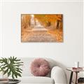 Picture of Falling Leaves  _GroupedProduct_Rectangle_Landscape_Photography _GroupedProduct_Rectangle_Landscape_Canvas_Framed_