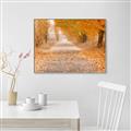 Picture of Falling Leaves  _GroupedProduct_Rectangle_Landscape_Photography _GroupedProduct_Rectangle_Landscape_Canvas_Framed_