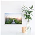 Picture of Field of Dreams   _GroupedProduct_Rectangle_Landscape_Photography _GroupedProduct_Rectangle_Landscape_Canvas_Framed_