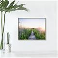 Picture of Field of Dreams   _GroupedProduct_Rectangle_Landscape_Photography _GroupedProduct_Rectangle_Landscape_Canvas_Framed_