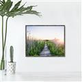 Picture of Field of Dreams   _GroupedProduct_Rectangle_Landscape_Photography _GroupedProduct_Rectangle_Landscape_Canvas_Framed_
