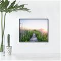 Picture of Field of Dreams   _GroupedProduct_Rectangle_Landscape_Photography _GroupedProduct_Rectangle_Landscape_Canvas_Framed_