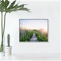 Picture of Field of Dreams   _GroupedProduct_Rectangle_Landscape_Photography _GroupedProduct_Rectangle_Landscape_Canvas_Framed_