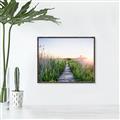 Picture of Field of Dreams   _GroupedProduct_Rectangle_Landscape_Photography _GroupedProduct_Rectangle_Landscape_Canvas_Framed_
