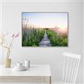 Picture of Field of Dreams   _GroupedProduct_Rectangle_Landscape_Photography _GroupedProduct_Rectangle_Landscape_Canvas_Framed_
