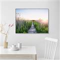 Picture of Field of Dreams   _GroupedProduct_Rectangle_Landscape_Photography _GroupedProduct_Rectangle_Landscape_Canvas_Framed_
