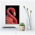 Picture of Flamingo Flame _GroupedProduct_Rectangle_Portrait_Photography _GroupedProduct_Rectangle_Portrait_Canvas_Framed_