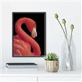 Picture of Flamingo Flame _GroupedProduct_Rectangle_Portrait_Photography _GroupedProduct_Rectangle_Portrait_Canvas_Framed_