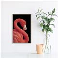 Picture of Flamingo Flame _GroupedProduct_Rectangle_Portrait_Photography _GroupedProduct_Rectangle_Portrait_Canvas_Framed_