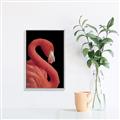 Picture of Flamingo Flame _GroupedProduct_Rectangle_Portrait_Photography _GroupedProduct_Rectangle_Portrait_Canvas_Framed_