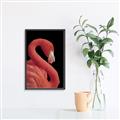 Picture of Flamingo Flame _GroupedProduct_Rectangle_Portrait_Photography _GroupedProduct_Rectangle_Portrait_Canvas_Framed_