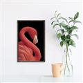 Picture of Flamingo Flame _GroupedProduct_Rectangle_Portrait_Photography _GroupedProduct_Rectangle_Portrait_Canvas_Framed_