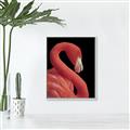 Picture of Flamingo Flame _GroupedProduct_Rectangle_Portrait_Photography _GroupedProduct_Rectangle_Portrait_Canvas_Framed_