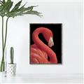 Picture of Flamingo Flame _GroupedProduct_Rectangle_Portrait_Photography _GroupedProduct_Rectangle_Portrait_Canvas_Framed_