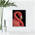 Picture of Flamingo Flame _GroupedProduct_Rectangle_Portrait_Photography _GroupedProduct_Rectangle_Portrait_Canvas_Framed_