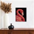 Picture of Flamingo Flame _GroupedProduct_Rectangle_Portrait_Photography _GroupedProduct_Rectangle_Portrait_Canvas_Framed_