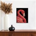 Picture of Flamingo Flame _GroupedProduct_Rectangle_Portrait_Photography _GroupedProduct_Rectangle_Portrait_Canvas_Framed_