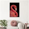 Picture of Flamingo Flame _GroupedProduct_Rectangle_Portrait_Photography _GroupedProduct_Rectangle_Portrait_Canvas_Framed_