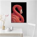Picture of Flamingo Flame _GroupedProduct_Rectangle_Portrait_Photography _GroupedProduct_Rectangle_Portrait_Canvas_Framed_