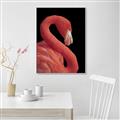 Picture of Flamingo Flame _GroupedProduct_Rectangle_Portrait_Photography _GroupedProduct_Rectangle_Portrait_Canvas_Framed_