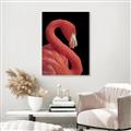 Picture of Flamingo Flame _GroupedProduct_Rectangle_Portrait_Photography _GroupedProduct_Rectangle_Portrait_Canvas_Framed_