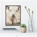 Picture of Furry Cow _GroupedProduct_Rectangle_Portrait_Photography _GroupedProduct_Rectangle_Portrait_Canvas_Framed_