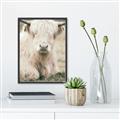 Picture of Furry Cow _GroupedProduct_Rectangle_Portrait_Photography _GroupedProduct_Rectangle_Portrait_Canvas_Framed_