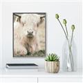 Picture of Furry Cow _GroupedProduct_Rectangle_Portrait_Photography _GroupedProduct_Rectangle_Portrait_Canvas_Framed_