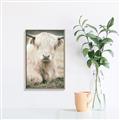 Picture of Furry Cow _GroupedProduct_Rectangle_Portrait_Photography _GroupedProduct_Rectangle_Portrait_Canvas_Framed_