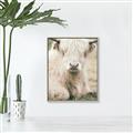 Picture of Furry Cow _GroupedProduct_Rectangle_Portrait_Photography _GroupedProduct_Rectangle_Portrait_Canvas_Framed_