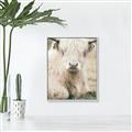Picture of Furry Cow _GroupedProduct_Rectangle_Portrait_Photography _GroupedProduct_Rectangle_Portrait_Canvas_Framed_