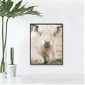 Picture of Furry Cow _GroupedProduct_Rectangle_Portrait_Photography _GroupedProduct_Rectangle_Portrait_Canvas_Framed_