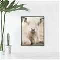 Picture of Furry Cow _GroupedProduct_Rectangle_Portrait_Photography _GroupedProduct_Rectangle_Portrait_Canvas_Framed_