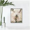 Picture of Furry Cow _GroupedProduct_Rectangle_Portrait_Photography _GroupedProduct_Rectangle_Portrait_Canvas_Framed_