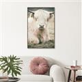 Picture of Furry Cow _GroupedProduct_Rectangle_Portrait_Photography _GroupedProduct_Rectangle_Portrait_Canvas_Framed_