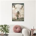 Picture of Furry Cow _GroupedProduct_Rectangle_Portrait_Photography _GroupedProduct_Rectangle_Portrait_Canvas_Framed_