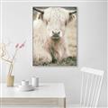Picture of Furry Cow _GroupedProduct_Rectangle_Portrait_Photography _GroupedProduct_Rectangle_Portrait_Canvas_Framed_