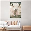 Picture of Furry Cow _GroupedProduct_Rectangle_Portrait_Photography _GroupedProduct_Rectangle_Portrait_Canvas_Framed_