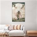 Picture of Furry Cow _GroupedProduct_Rectangle_Portrait_Photography _GroupedProduct_Rectangle_Portrait_Canvas_Framed_