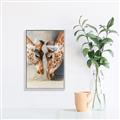 Picture of Giraffe Pals  _GroupedProduct_Rectangle_Portrait_Photography _GroupedProduct_Rectangle_Portrait_Canvas_Framed_
