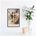 Picture of Giraffe Pals  _GroupedProduct_Rectangle_Portrait_Photography _GroupedProduct_Rectangle_Portrait_Canvas_Framed_
