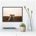 Picture of Grazing Sheep  _GroupedProduct_Rectangle_Landscape_Photography _GroupedProduct_Rectangle_Landscape_Canvas_Framed_