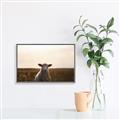 Picture of Grazing Sheep  _GroupedProduct_Rectangle_Landscape_Photography _GroupedProduct_Rectangle_Landscape_Canvas_Framed_
