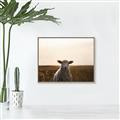 Picture of Grazing Sheep  _GroupedProduct_Rectangle_Landscape_Photography _GroupedProduct_Rectangle_Landscape_Canvas_Framed_
