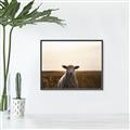 Picture of Grazing Sheep  _GroupedProduct_Rectangle_Landscape_Photography _GroupedProduct_Rectangle_Landscape_Canvas_Framed_