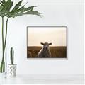 Picture of Grazing Sheep  _GroupedProduct_Rectangle_Landscape_Photography _GroupedProduct_Rectangle_Landscape_Canvas_Framed_