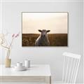 Picture of Grazing Sheep  _GroupedProduct_Rectangle_Landscape_Photography _GroupedProduct_Rectangle_Landscape_Canvas_Framed_