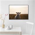 Picture of Grazing Sheep  _GroupedProduct_Rectangle_Landscape_Photography _GroupedProduct_Rectangle_Landscape_Canvas_Framed_