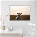 Picture of Grazing Sheep  _GroupedProduct_Rectangle_Landscape_Photography _GroupedProduct_Rectangle_Landscape_Canvas_Framed_