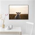 Picture of Grazing Sheep  _GroupedProduct_Rectangle_Landscape_Photography _GroupedProduct_Rectangle_Landscape_Canvas_Framed_